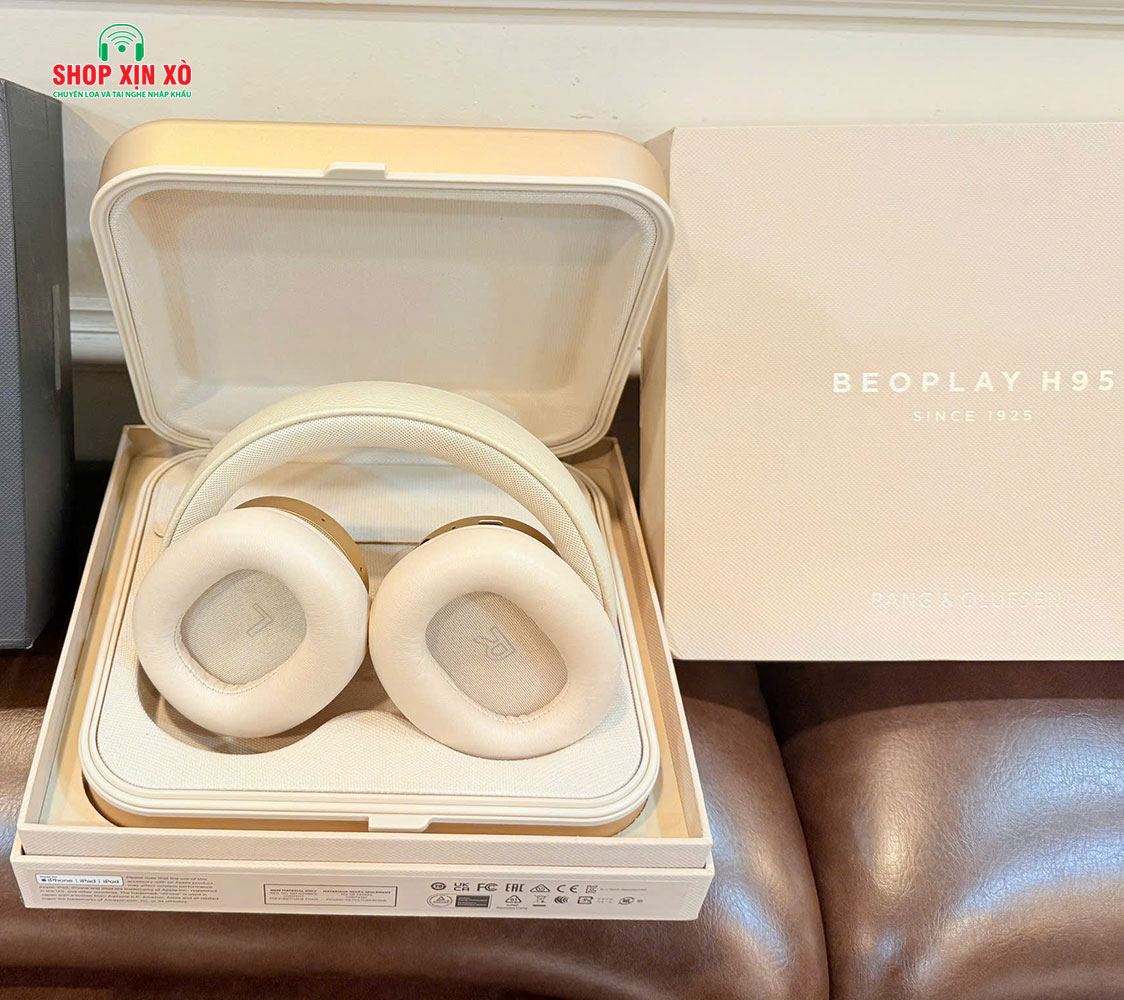dai-dien-bo-beoplay-h95-gold-g